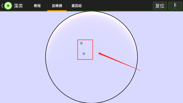游戏攻略3