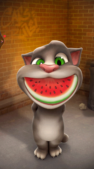 会说话的汤姆猫