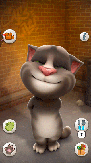 会说话的汤姆猫