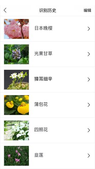 识花app官方版