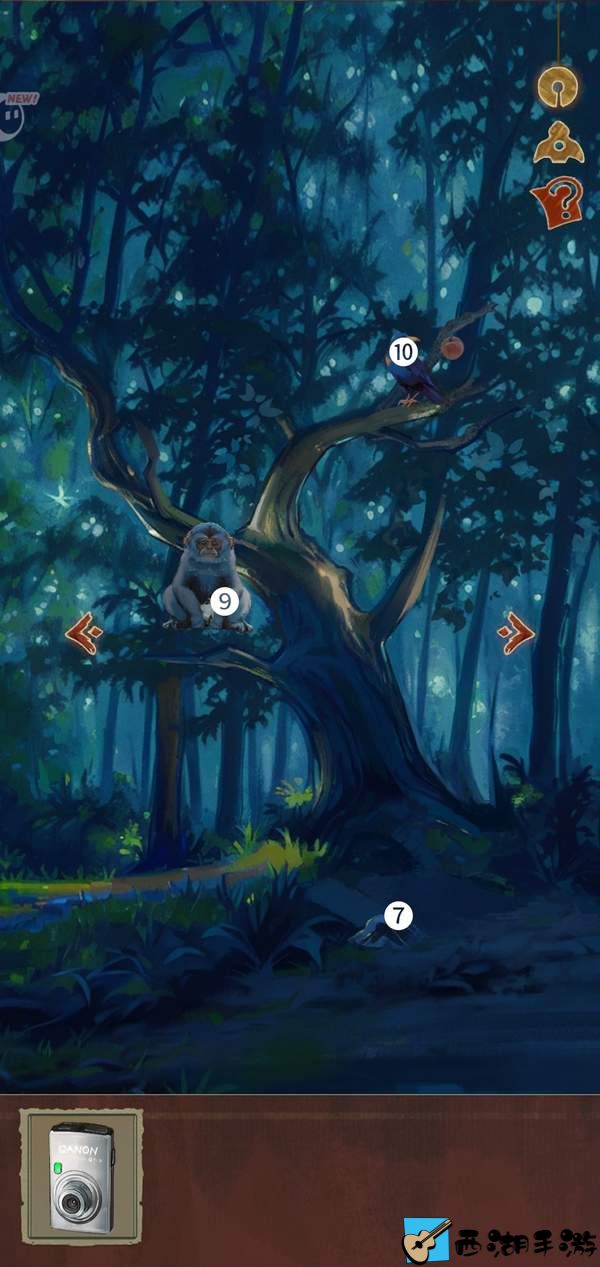 栖云异梦：睹玉