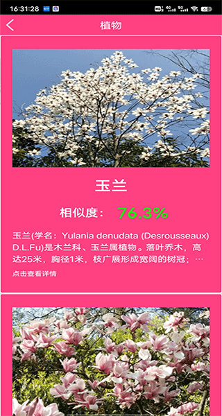 拍照识花神器app