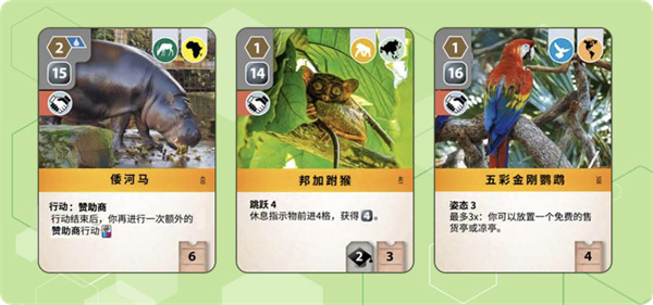 卡牌介绍