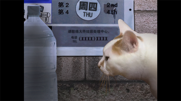 怎么玩2