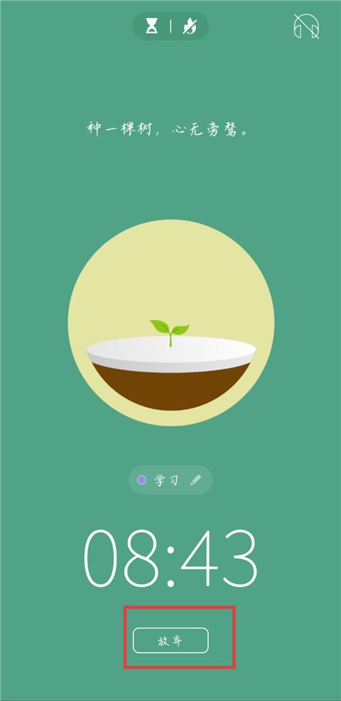 Forest专注森林正版