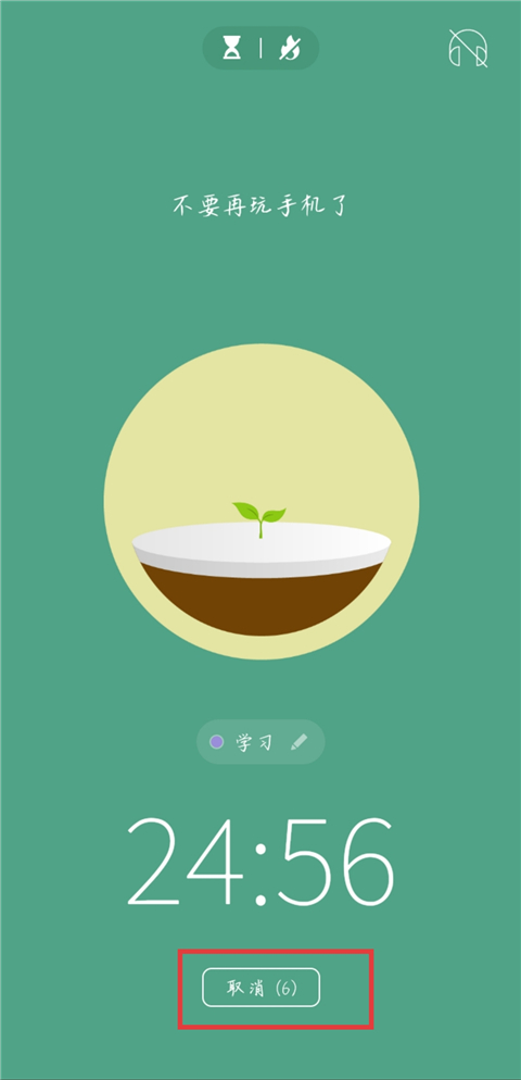 Forest专注森林正版