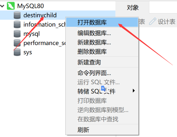服务器安装教程10