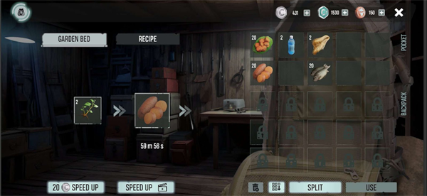 红薯2