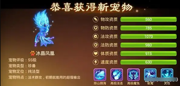 宠物推荐2