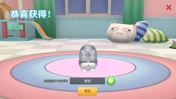 养了个猫怎么养宠物4