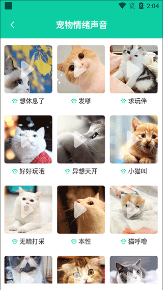 猫猫交流器最新版