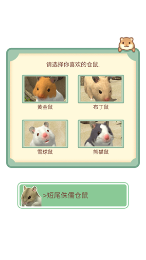 怎么玩1