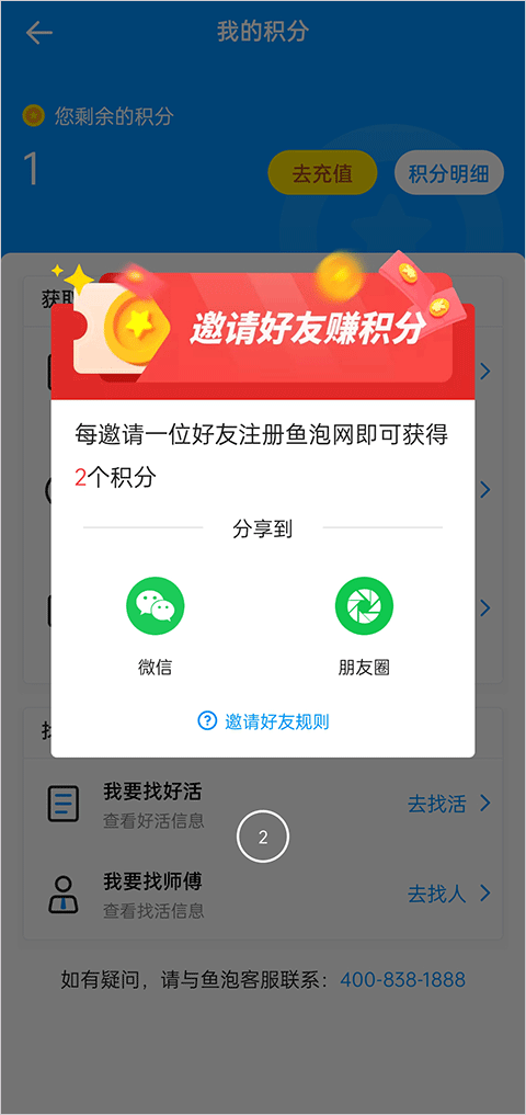 鱼泡网