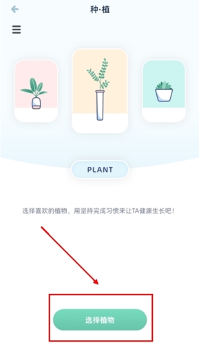 柠檬点点
