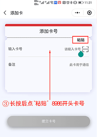 表鸽app