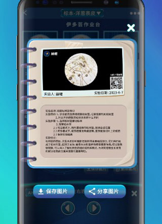赫鲤