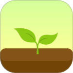 Forest专注森林正版