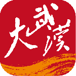 大武汉