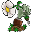 植物大战僵尸可接头版最新版