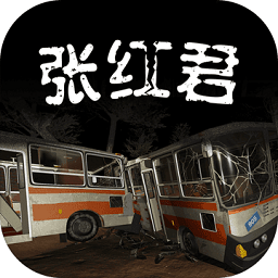 孙美琪疑案张红君手机版