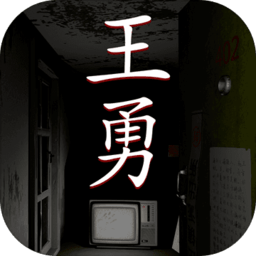 孙美琪疑案王勇手机版