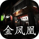 孙美琪疑案金凤凰手机版