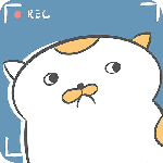 主播和猫的故事游戏